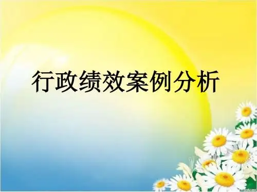 行政绩效案例分析