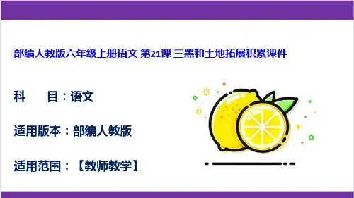 部编人教版六年级上册语文 第21课 三黑和土地拓展积累课件