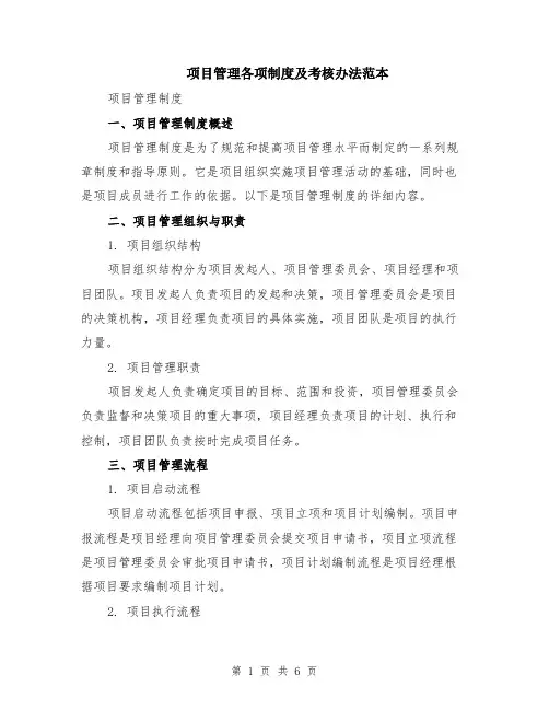 项目管理各项制度及考核办法范本（2篇）