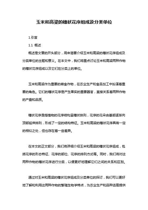 玉米和高粱的穗状花序组成及分类单位