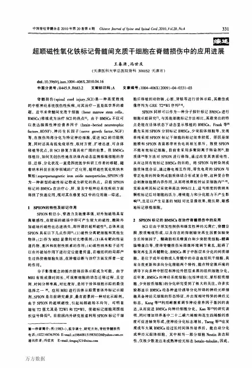 超顺磁性氧化铁标记骨髓间充质干细胞在脊髓损伤中的应用进展