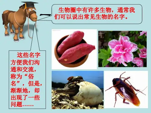 苏科版生物七下5.14.1《生物的命名和分类》课件 (共44张PPT)