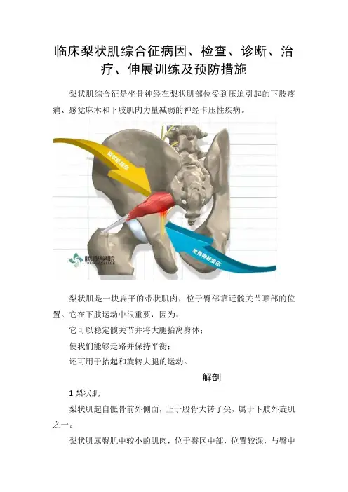临床梨状肌综合征病因、检查、诊断、治疗、伸展训练及预防措施