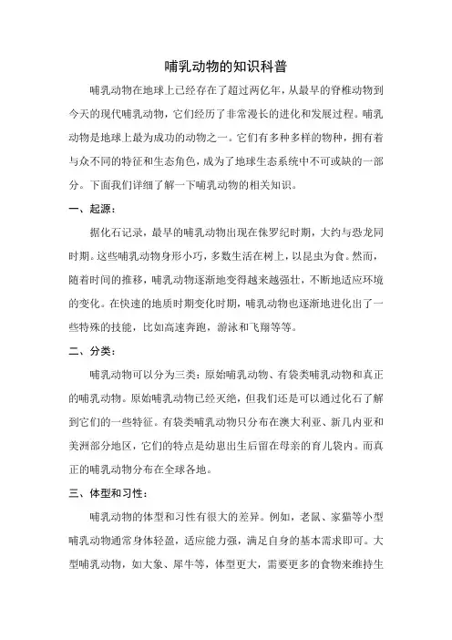 哺乳动物知识科普