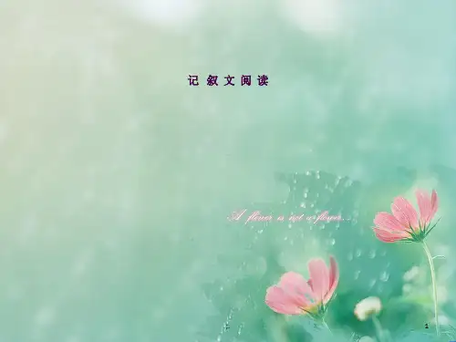 中考记叙文阅读总复习 不容错过ppt课件