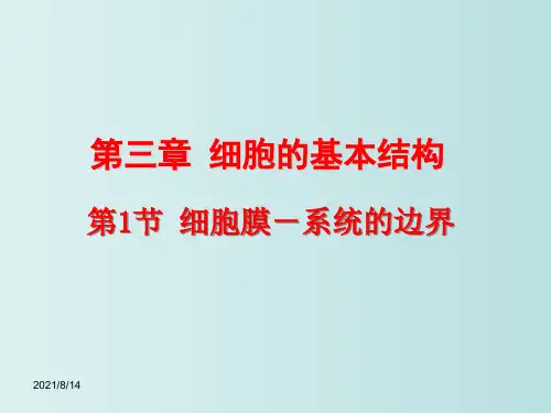 细胞的基本结构 高中生物人教版必修一 教学PPT课件