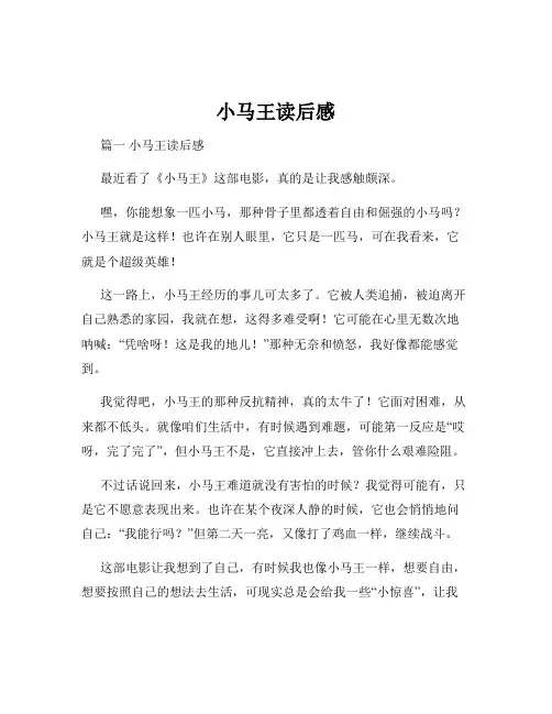 小马王读后感