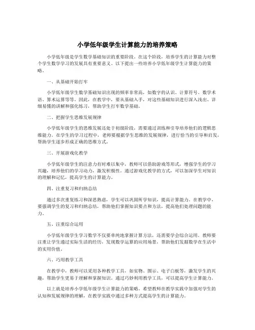 小学低年级学生计算能力的培养策略