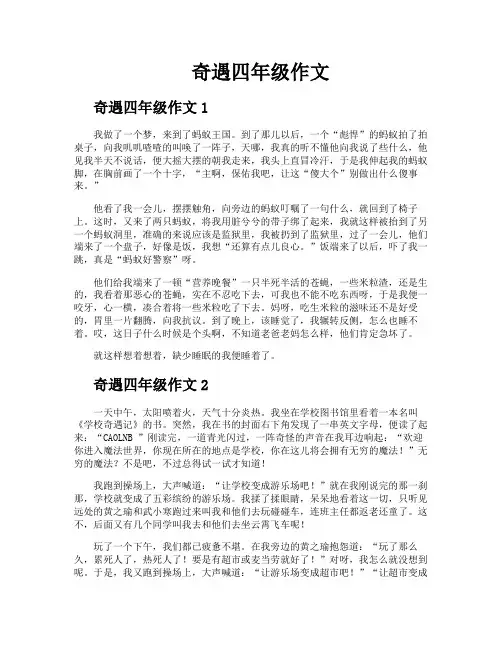 奇遇四年级作文