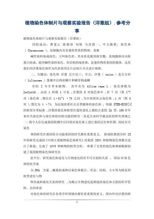 植物染色体制片与观察实验报告(洋葱组).参考分享