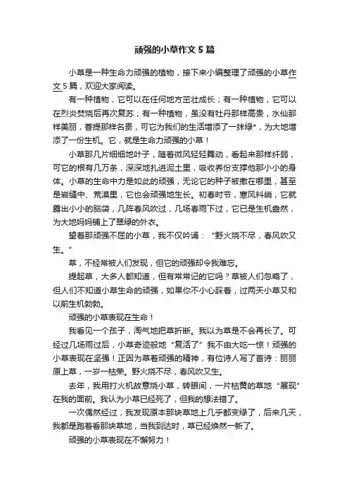 顽强的小草作文5篇