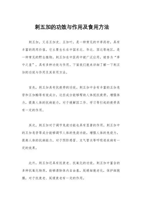 刺五加的功效与作用及食用方法