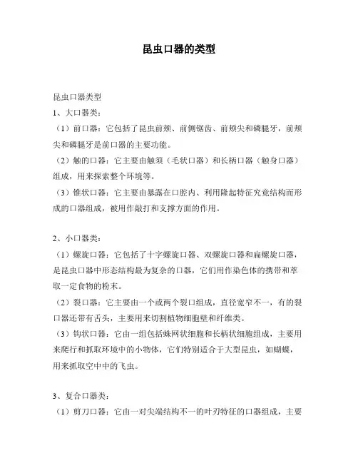 昆虫口器的类型