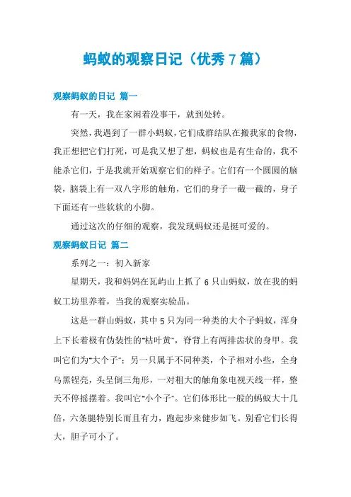 蚂蚁的观察日记(优秀7篇)