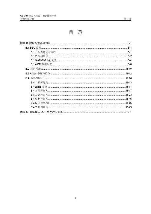 BSC数据配-数据配置基础知识(PDF 67页)