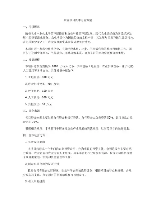 农业项目资本运营方案