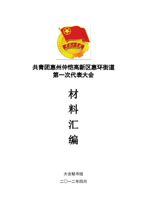 共青团第一次代表大会会议材料