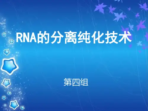 RNA的分离纯化技术解析