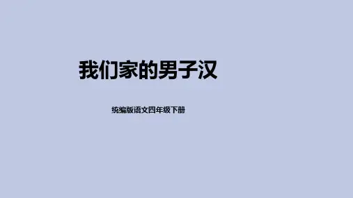 20我们家的男子汉   课件 (共19张PPT)