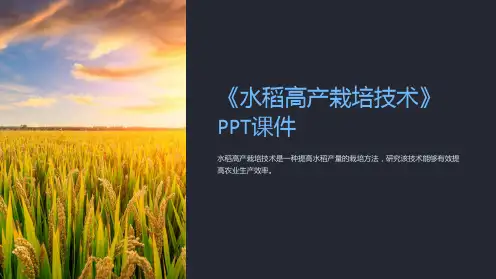《水稻高产栽培技术》课件