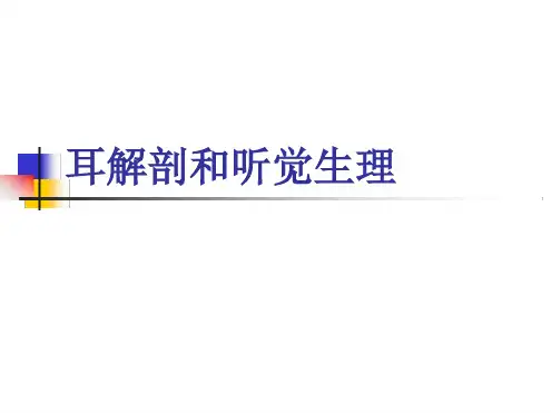 耳解剖及生理