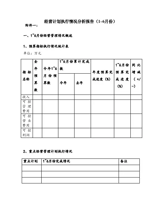 经营计划执行情况分析报告(最终版)