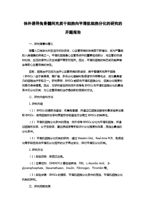 体外诱导兔骨髓间充质干细胞向平滑肌细胞分化的研究的开题报告