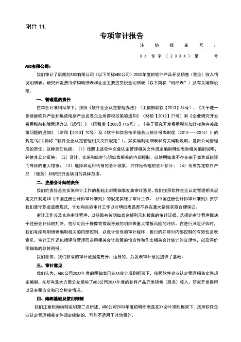 软件企业专项审计报告范本