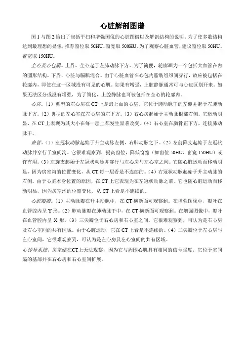心脏解剖图谱