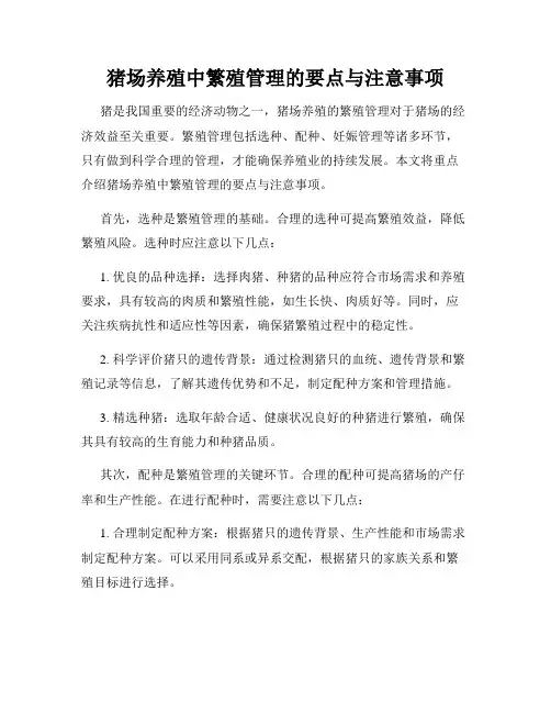 猪场养殖中繁殖管理的要点与注意事项
