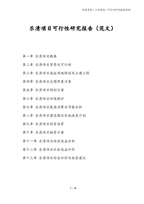 乐清项目可行性研究报告(范文)