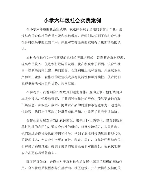 小学六年级社会实践案例