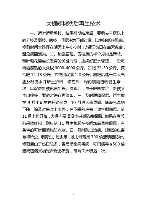 大棚辣椒秋后再生技术