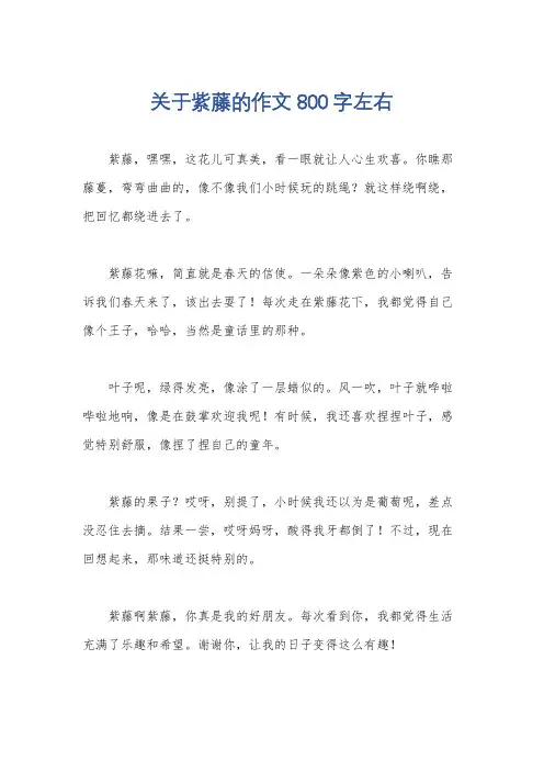 关于紫藤的作文800字左右