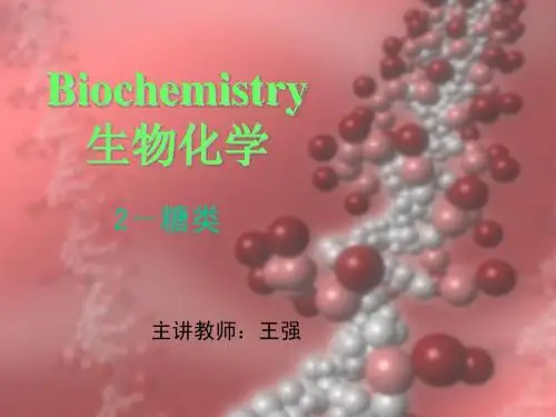 生物化学-2-糖类