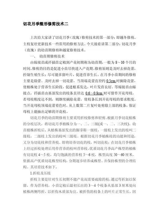 切花月季整形修剪技巧（二）[新版]