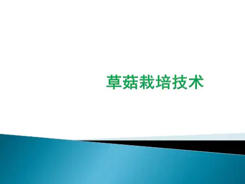 草菇栽培技术资料