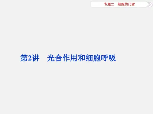 高考生物 二轮复习 专题二 细胞的代谢 第2讲 光合作用和细胞呼吸