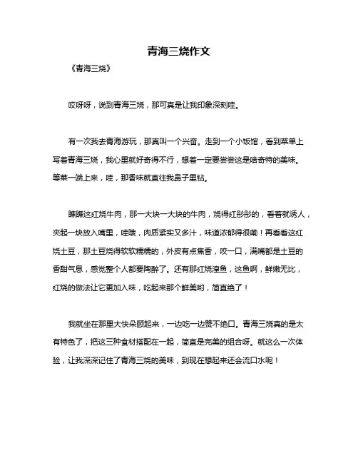 青海三烧作文