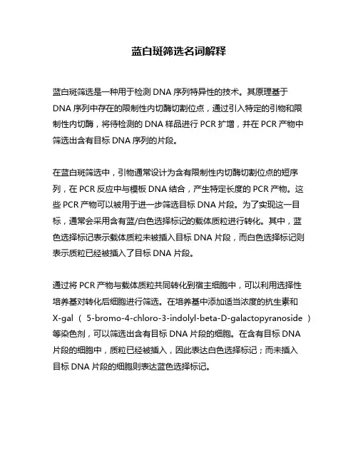蓝白斑筛选名词解释