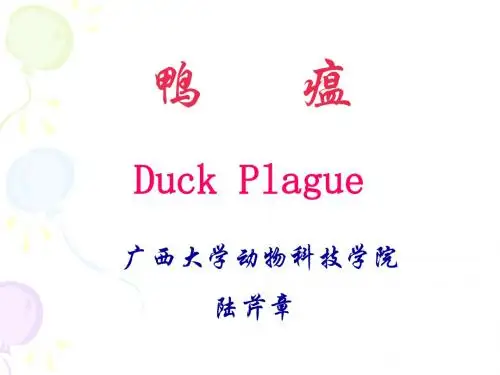 鸭瘟