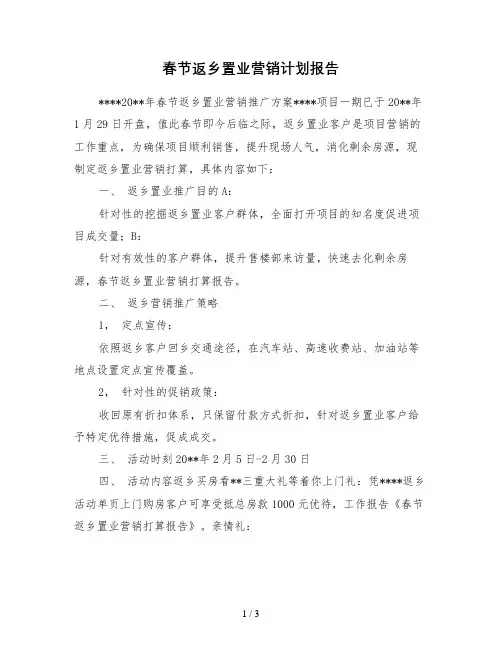 春节返乡置业营销计划报告