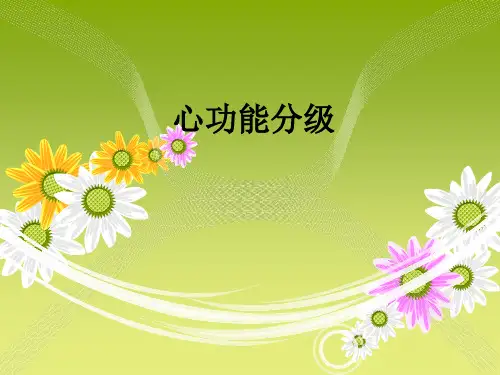 心功能分级ppt课件