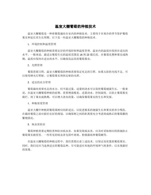 温室大棚葡萄的种植技术