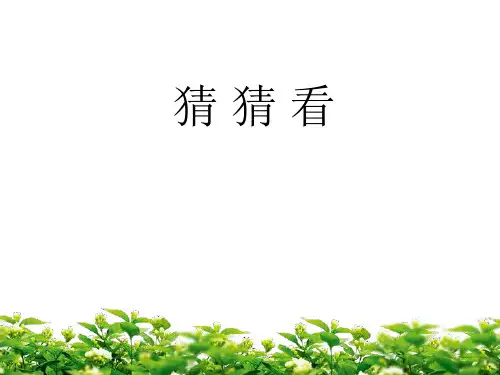 《亲爱的汉修先生》读书交流会PPT课件