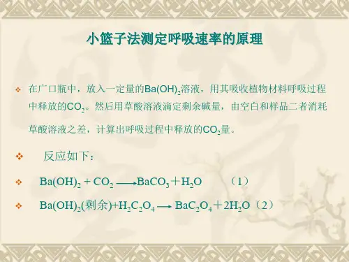 小篮子法测呼吸ppt