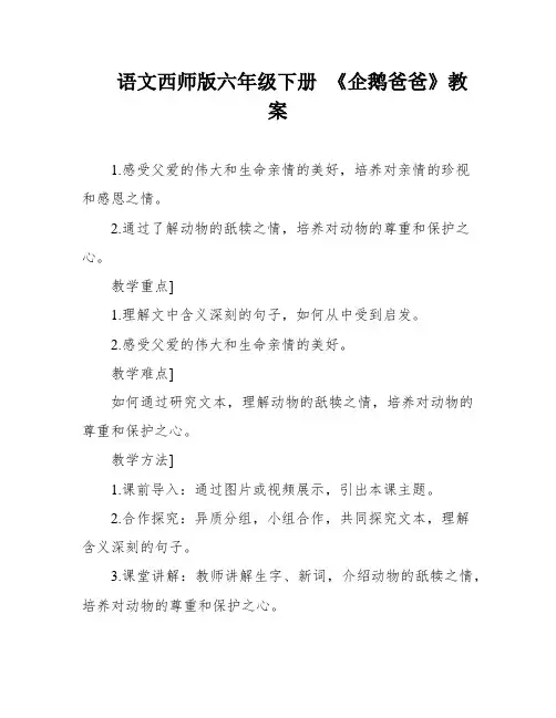 语文西师版六年级下册 《企鹅爸爸》教案