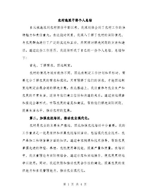 农村选派干部个人总结（2篇）