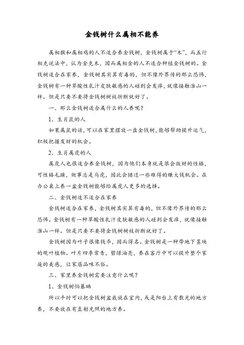 金钱树什么属相不能养