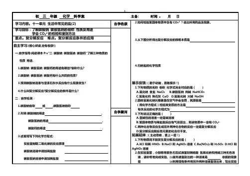 生活中常见的盐(2)